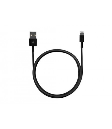 Kensington Charge and Sync Cable for ipad mini & iphone 5
